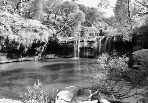 Budderoo National Park NSW AU Black and White