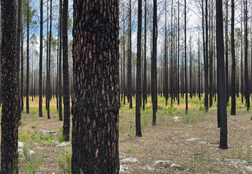 Esperance WA AU 2026
