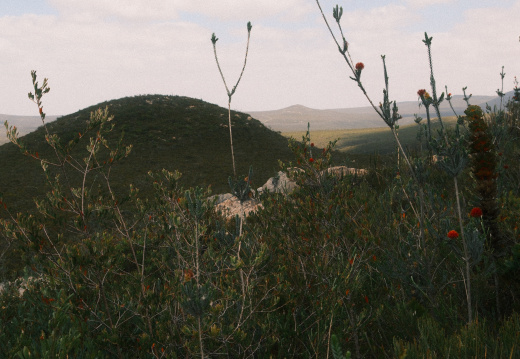 Fitzgerald River NP Slide Flim 2026