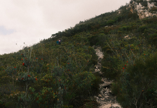 DSCF3004