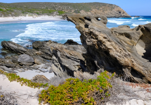 DSCF3537