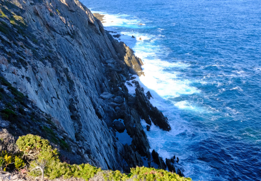DSCF3634