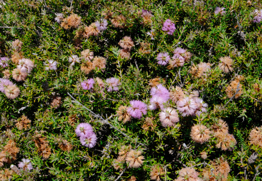 DSCF3678