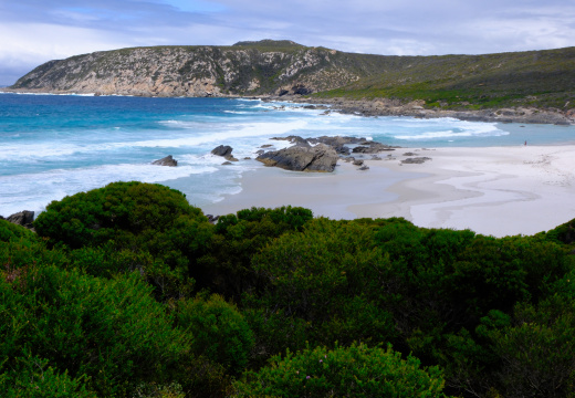 Hakea Trail Fitzgerald River NP 2025