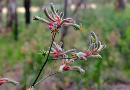 Margaret River WA AU 2025