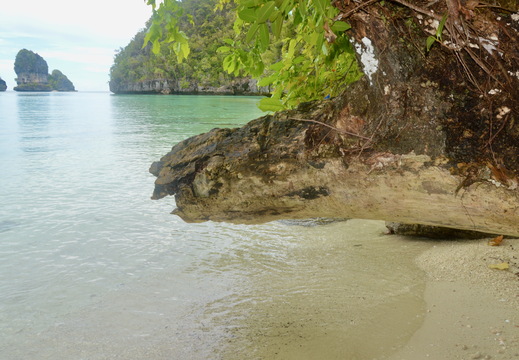 Misool Indo
