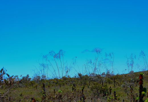 DSCF3415