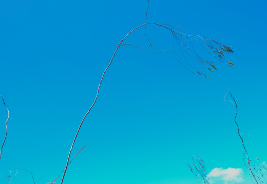 DSCF3428