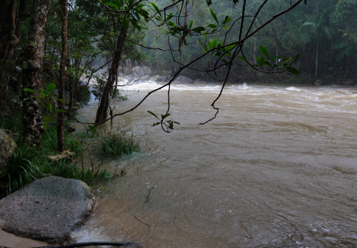 Daintree QLD AU 2024