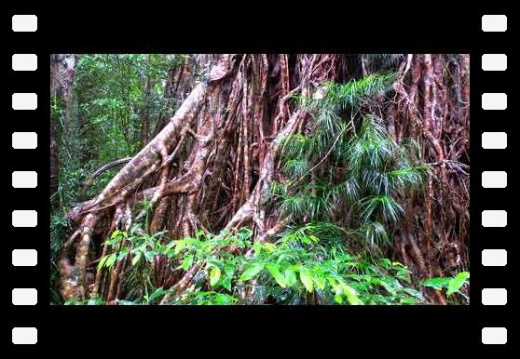 Atherton QLD AU 2024