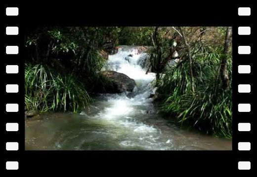 Mission Beach QLD AU 2024