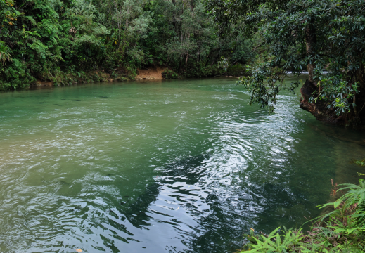 Mission Beach QLD AU 2024