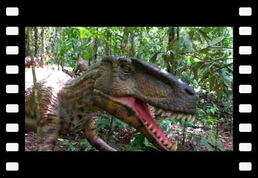 Daintree QLD AU 2024