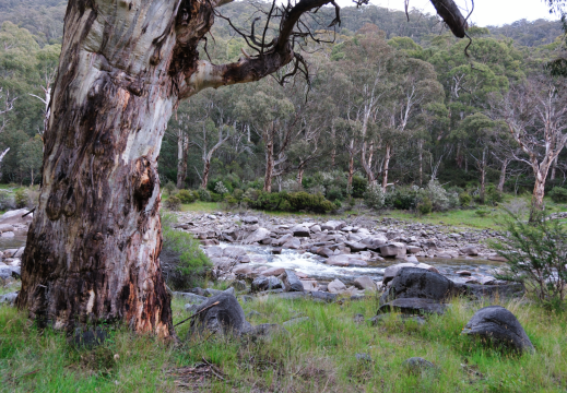 Photos NSW and VIC 2024