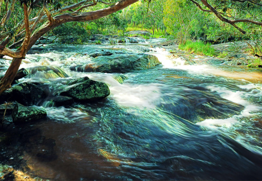 Cairns Art 100