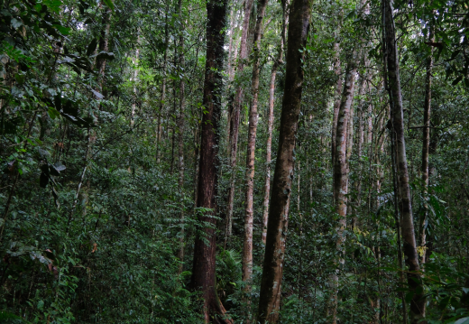 Atherton QLD AU 2024