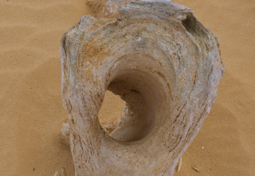 Nambung NP WA AU 2024