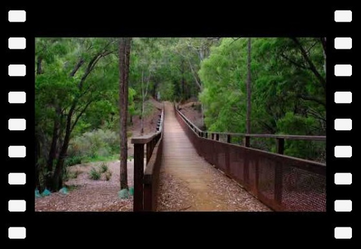 Margaret River WA AU 2025 Wadandi Trail