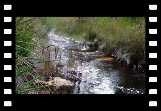 Walpole WA AU July 2025