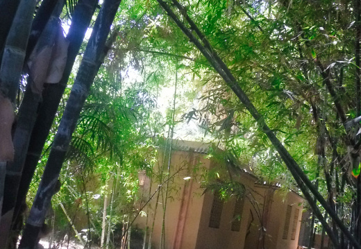 DSCF6554