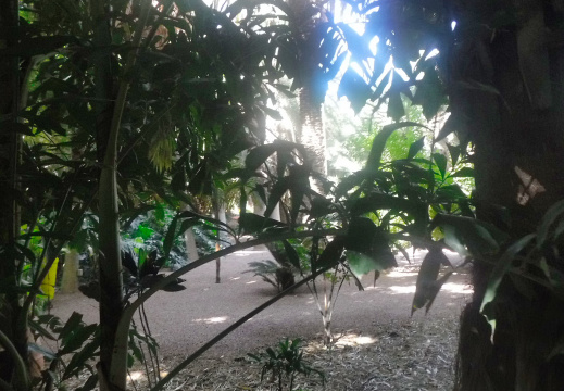 DSCF6565