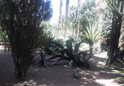 DSCF6577