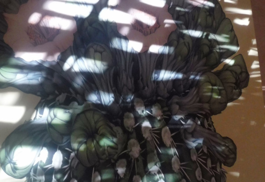 DSCF6601