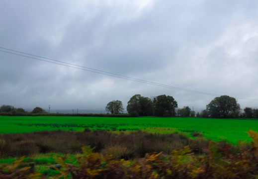 DSCF6714