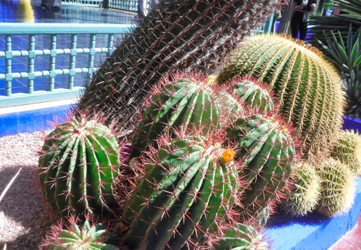 DSCF6682