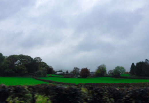 DSCF6716