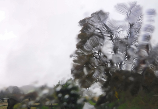 DSCF6724