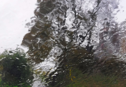DSCF6726