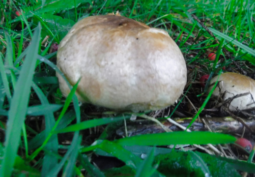 DSCF6735