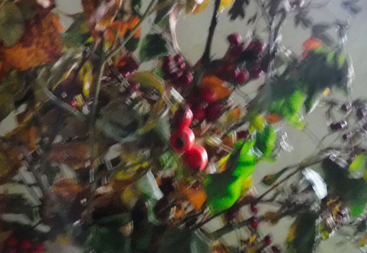 DSCF6747