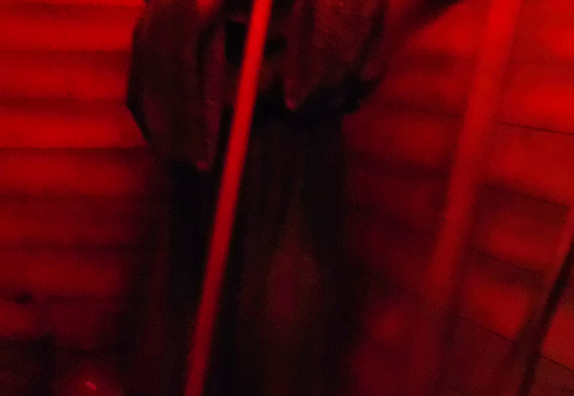 DSCF6804