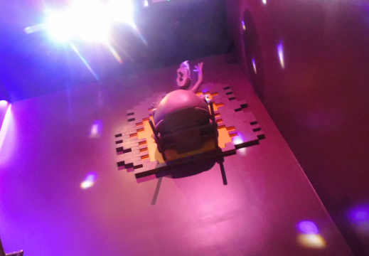 DSCF6831