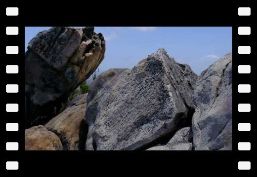 East Mt Barren Fitzgerald River NP WA AU 2025