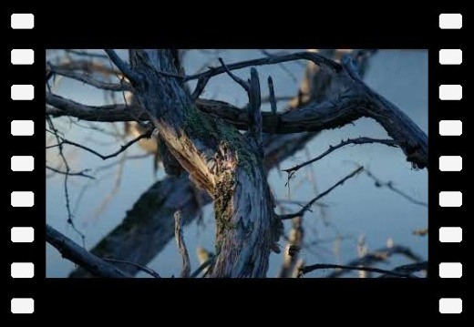 Woody Lake Esperance WA AU 2026