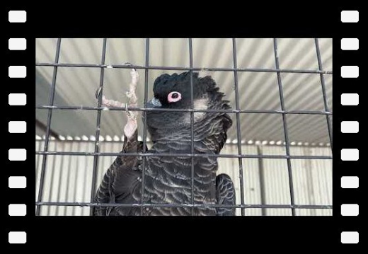 Esperance WA AU 2026